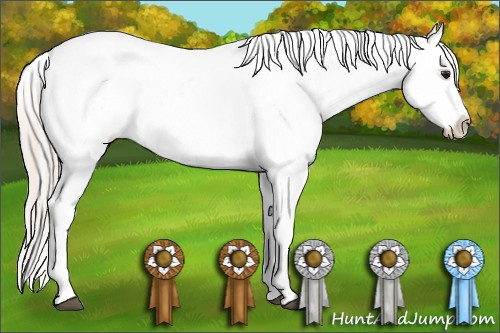 Horse Color: Silver Bay Sabino Tobiano Varnish 