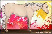 Horse Color:Silver Amber Champagne Dun 