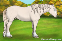 Horse Color:Perlino Sabino 