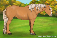 Horse Color:Chocolate Palomino Frame 