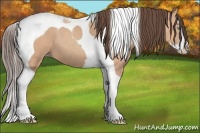 Horse Color:Amber Champagne Splash Tobiano 
