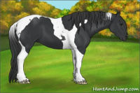 Horse Color:Brown Tobiano