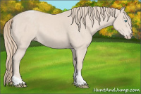 Horse Color:Perlino Tobiano 