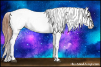Horse Color:Grullo Near Leopard 