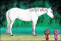 Horse Color:Silver Bay Near Fewspot 