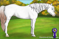 Horse Color:Grullo Splash Near Fewspot 