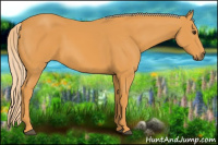 Horse Color:Palomino 