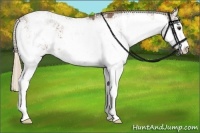 Horse Color:Liver Red Dun Sabino