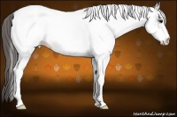Horse Color:White Spotted Grullo Blanket 