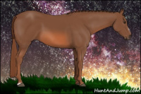 Horse Color:Liver Chestnut Frame 
