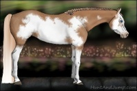 Horse Color:Chestnut Splash Frame Rabicano 