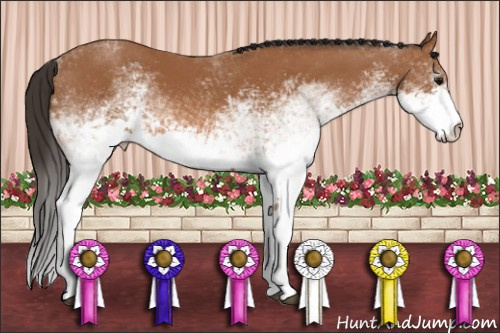 Horse Color: White Spotted Bay 