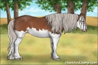Horse Color:Silver Brown Splash Frame