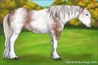 Horse Color:White Spotted Silver Bay Splash 