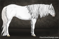 Horse Color:Silver Amber Champagne Dun Splash Tobiano Blanket 