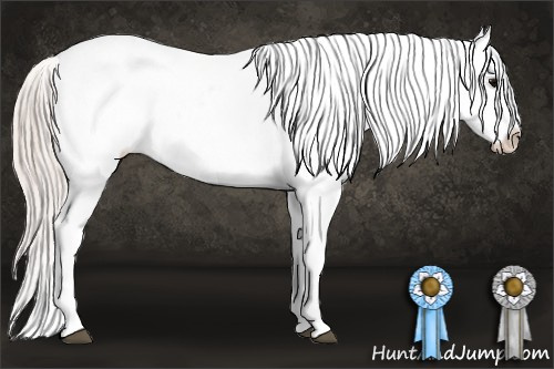 Horse Color: White Spotted Silver Black Tobiano Blanket 