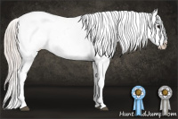 Horse Color:White Spotted Silver Black Tobiano Appaloosa 