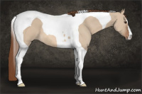 Horse Color:Red Dun Tobiano