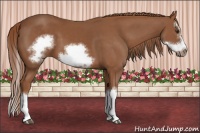 Horse Color:Chestnut Splash Frame 