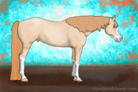 Horse Color:Buckskin Pearl Splash 