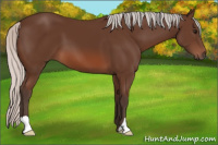 Horse Color:Silver Brown 