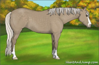 Horse Color:Silver Smoky Grullo Sabino 