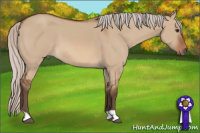 Horse Color:Silver Bay Dun