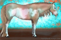 Horse Color:Liver Chestnut Pearl Sabino Splash Frame 