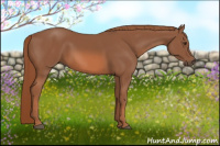 Horse Color:Liver Chestnut 