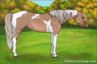 Horse Color:Silver Bay Dun Tobiano 