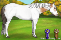 Horse Color:Bay Splash Tobiano Frame 