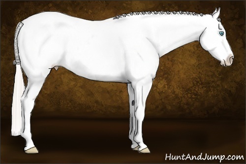 Horse Color: Chocolate Palomino Pearl Tobiano Frame Blanket 