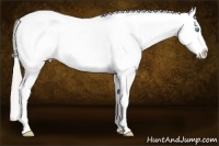 Horse Color:Chocolate Palomino Pearl Tobiano Frame Appaloosa 