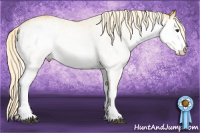 Horse Color:White Spotted Palomino 