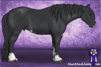 Horse Color:Black Sabino