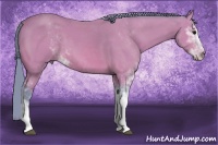 Horse Color:Watercolor Bay Sabino 