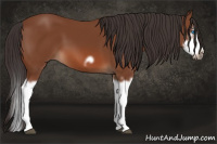 Horse Color:Bay Splash Frame