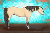 Horse Color:Buckskin Sabino 