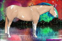 Horse Color:White Spotted Gold Champagne Splash Tobiano 