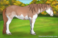Horse Color:Chestnut Splash 