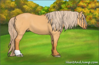 Horse Color:Palomino Dun 