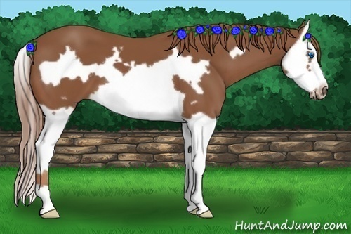 Horse Color: Chestnut Splash Frame 