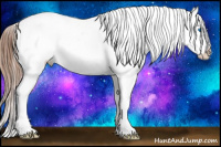 Horse Color:Red Roan Sabino Splash Appaloosa 