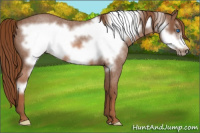 Horse Color:Liver Red Roan Frame 
