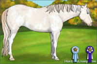 Horse Color:White Spotted Perlino Dun 