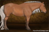 Horse Color:Silver Bay