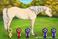Horse Color:Palomino Dun 