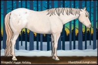 Horse Color:Gold Champagne Appaloosa 