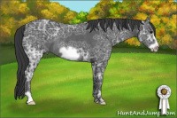 Horse Color:Black Ice Frame Rabicano 