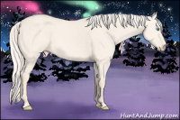 Horse Color:Cremello Dun 